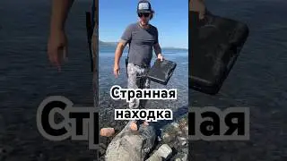 Море принесло! Что это такое? Неожиданный сюрприз 