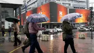 " Гулливер " вечером
