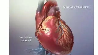 Blood Pressure