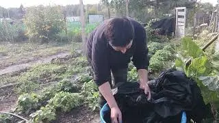 Простирала черный укрывной спанбонд
