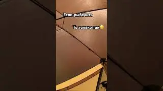 9 Карпов, рыбачим🤙 