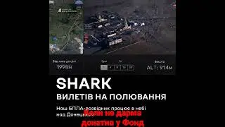 Коли не дарма донати кидав у Фонд Притули