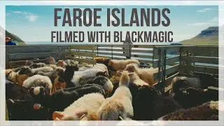 The Faroe Islands in Summer - Filmed with The Blackmagic BMPCC 6K Pro | DZOFILM Pictor Zoom Lenses