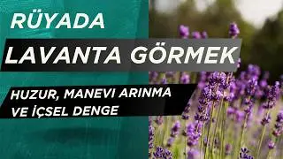 Rüyada Lavanta Görmek Ne Anlama Gelir? | Huzur, Manevi Arınma ve İçsel Denge