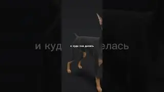 альфа попала в зд игру!!! #дориме#доберман