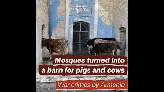 Mosques turned into a pigpen and cowshed