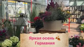 Яркая осень в садовом центре Германии 🍂