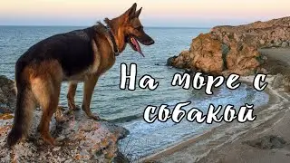 Виспа на море :)