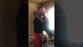 неподкупная преданость 