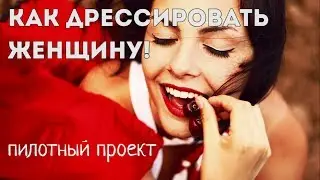 Жена подала на развод, что делать? Как дрессировать женщину