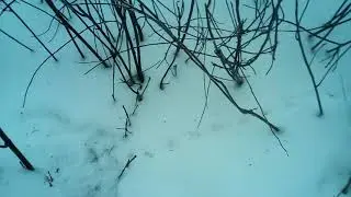 Проверка петель на фазана.
