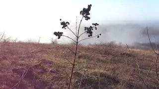 Перед БИРЮЧИНОЙ неудобно. Доктор 
