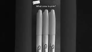 What color is PINK? #coffeeshop #testyourintuition #intuitiontest #fyp #foryou #trend