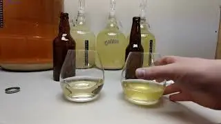 Apple Cider From Scratch Compared to Allen's Apple Juice Cider - Wine With Me