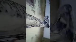 Намыл лайбу 😏