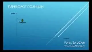 Линии поддержки и сопротивления на Форекс.