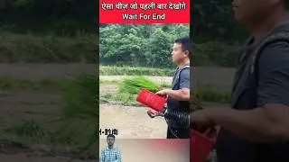 धान रोपाई 🎍New Viral Gadgets, Smart Appliances, Kitchen Utensils/ Home Inventions#shorts