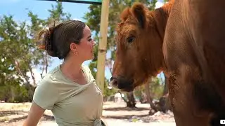 Maya gives Stompy a bath and pets Winnie at Alveus