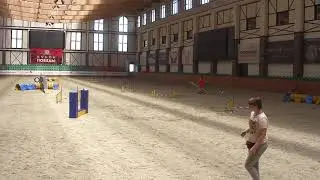 Квалификационные соревнования, 22.08.2020, г. Москва, Аджилити опен-1, Винклин