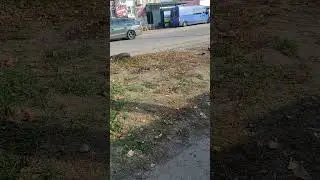 29 октября 2024 г.