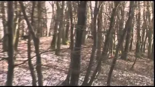Охота на кабана САМАЯ КРУТАЯ ОХОТА НА КАБАНА СУПЕР