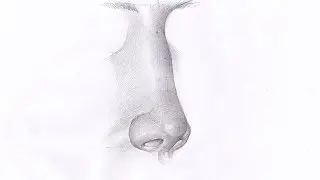How to draw a nose. Как рисовать НОС ЧЕЛОВЕКА ВПОЛОБОРОТА карандашом. Урок 63