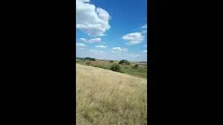 Ровное
