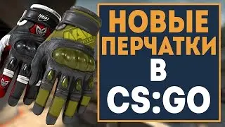 Новое обновление в CS:GO (28.11.16) - Кейс с перчатками и стим лобби!