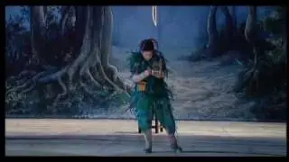 The Magic Flute -Air de Papageno et Papagena 'Halt ein! o Papageno, und sei klug!'