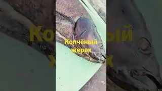 копчёный жерех