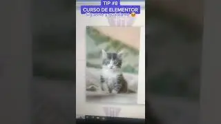 Como crear un pupac con elementor