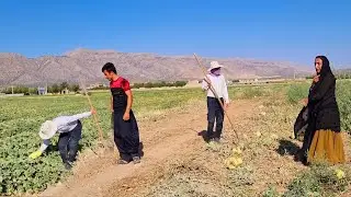 Job search by Abbas and Elham in all farms and villages looking for work
