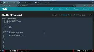 2. the go playground your first go program