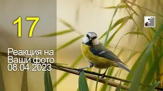 Майк Топтыгин. Реакция на Ваши фото 17