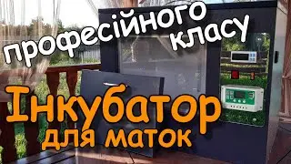 Інкубатор для маток професійного класу від Сергія Муляви/FABRO