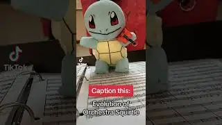 Caption This: The evolution of Orchestra Squirtle #pokemon #music #teacher