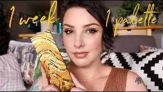 1 week 1 palette review: Urban Decay Naked Honey Palette