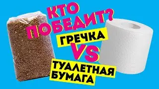 КТО ПОБЕДИТ: ГРЕЧКА или ТУАЛЕТНАЯ БУМАГА?! Эксперимент от PIX