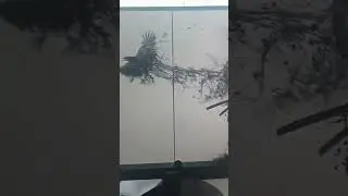 купил называется игровой монитор!!!
