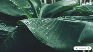 Why is Safe Water Important? | Drinking Water