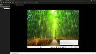 Creating Windows virtual machine on VMware Workstation