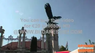 Turul of the Royal Palace of Buda new