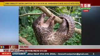 VILLAGE 230 GI KHULLAKPA SINGNA MUTSILAKLABA SA PANGOLIN KANNABAGI DAMAK PUNNA WAREP LOUMINNAKHRE