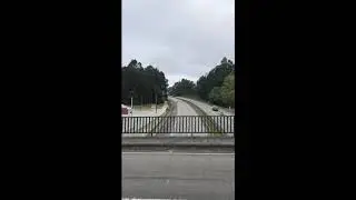 Honda hornet 600f Orgasm sound