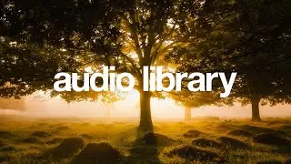 Good NIT – Dizanour (No Copyright Music)