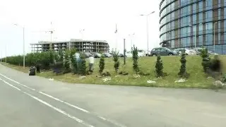 inno tree