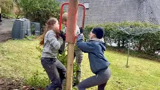 Stock fencing