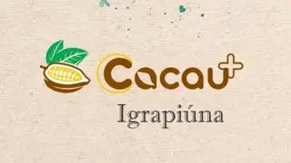 Programa Cacau Mais, orientando produtores para aumentar a produtividade e levando conhecimento