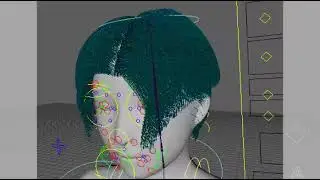 maya hair test