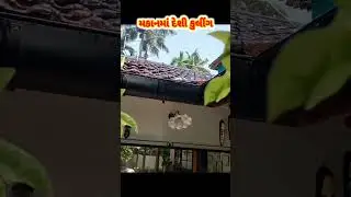 મકાન ઉપર દેશી કુલીંગ બનાવ્યું #jugaad #ytshorts #farmer #ahir #jugad #gujarati #house #short